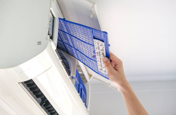 Air Duct Mold Removal in Union Gap, WA